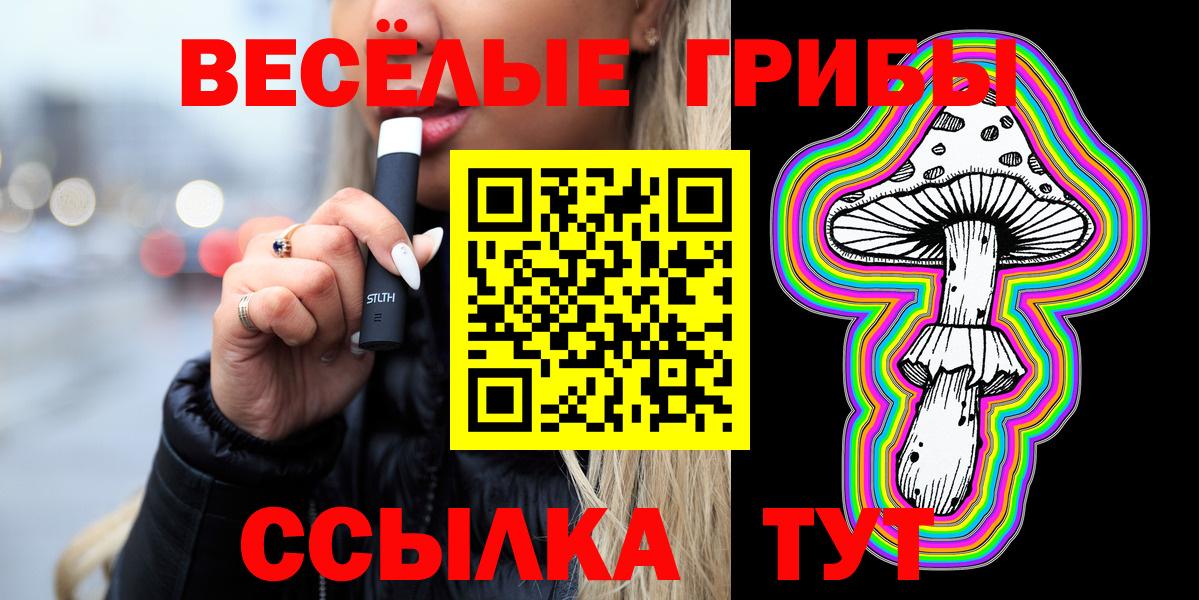 Галлюциногенные грибы Psilocybine cubensis Петропавловск-Камчатский