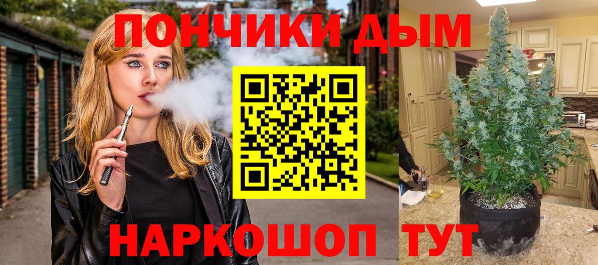 Канабис гибрид Петропавловск-Камчатский